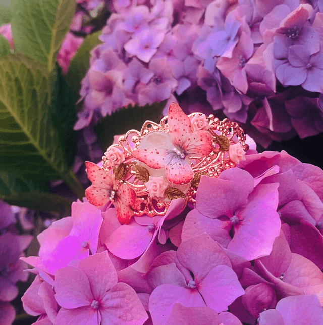 Cœur de rose 